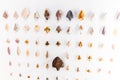 Stone arrowheads as primitive weapon and tools