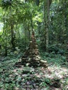 Stone Art Rainforest Thailand