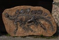 Stone with an artificial imprint from the skeleton of a dinosaur in Dinosaur Park Attraction