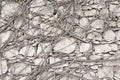 Stone Background and dry Twigs Grow on The Wall. Background from the Great Stones. Beige Blank Background for Your Design,