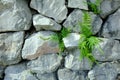 Stone background