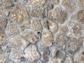 Stone background. Stone texture pattern. Pebble stones texture. Multi colored stones background Royalty Free Stock Photo