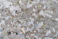 Stone background with textured surface and Lichen Moss. Pattern mineral with rough structure and lichen. mountain backdrop.