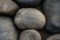 Stone background. Wall of rounded pebbles