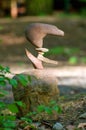 Stone balancing Royalty Free Stock Photo
