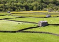 Stone barns, Gunnerside Royalty Free Stock Photo