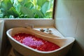 Stone bath tub with heart shaped flower petals near window with jungle view. Organic spa relaxation in luxury Bali Royalty Free Stock Photo