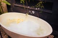 Stone bath tub with water, soap bubbles and petals Royalty Free Stock Photo