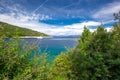 Stone beach with crystal clear tourquise sea with pine tree in Croatia, Istria, Europe Royalty Free Stock Photo