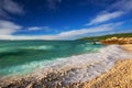 Stone beach with crystal clear tourquise sea with pine tree in Croatia, Istria, Europe