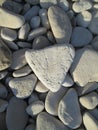 Stone on the beach. Gray pebbles with small holes. Royalty Free Stock Photo