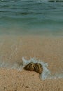 STONE IN THE BEACH LIKE IS LOVE Royalty Free Stock Photo