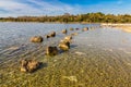 Stone Beach Near Vrsar Village-Croatia