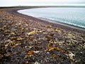 stone beach in Saint Pierre and Miquelon