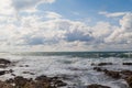 Stone Beach sea coast storm and bird Royalty Free Stock Photo