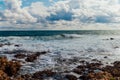 Stone Beach sea coast storm and bird Royalty Free Stock Photo