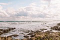 Stone Beach sea coast storm and bird Royalty Free Stock Photo