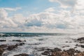 Stone Beach sea coast storm and bird Royalty Free Stock Photo