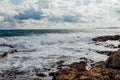 Stone Beach sea coast storm and bird Royalty Free Stock Photo