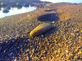 Stone beside the beach