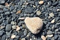 Stone Beach with White Heart Shaped Coral Stone Royalty Free Stock Photo