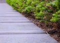 Stone bench and green shrubs