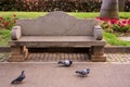 Stone bench in a park with some pigeons around Royalty Free Stock Photo