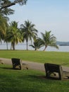 Stone Benches