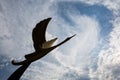 Stone bird flying over the sky of Singapur