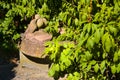 Stone bird in the garden