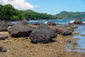 Stone on black sand volcanic beach Royalty Free Stock Photo