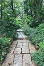 Stone block pathway with green leaf in a park Royalty Free Stock Photo