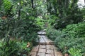 Stone block pathway with green leaf in a park Royalty Free Stock Photo