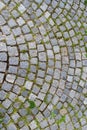 Stone block paving Royalty Free Stock Photo