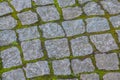 Stone Block Seamless Texture, The road to pedestrians Royalty Free Stock Photo