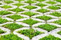 Stone block walk path in the park with green grass Royalty Free Stock Photo