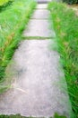 Stone block walk way in garden Royalty Free Stock Photo