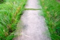 Stone block walk way in garden Royalty Free Stock Photo