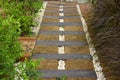 The Stone block walking way in the garden, white stones garden path on green trees.