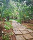 Stone block walkway with plants on both sides in a luxury villa. Royalty Free Stock Photo