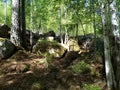 Stone blockages in the center of the taiga, Irkutsk. Siberia Royalty Free Stock Photo