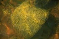 Stone at the bottom of the river. Blurred background and texture of the river pod Royalty Free Stock Photo