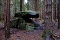 stone boulder a flat and wobbly remnant of glacial processes in a spruce forest.