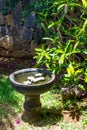 Stone bowl with water and flowers