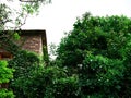 Stone brick ancient house side corner behind natural green tree leaves at sky background Royalty Free Stock Photo