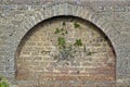 stone brick antique arch, arch on the wall, fig tree grown on the ancient wall Royalty Free Stock Photo