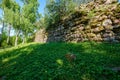 stone brick ruins of old building Royalty Free Stock Photo