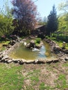 stone, brick swimming pool for swans, in the yard of Koporin Monastery, Serbia