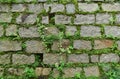 Stone brick wall texture and grass for background Royalty Free Stock Photo