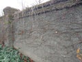 Stone brick Wall with Vines and Growth Below